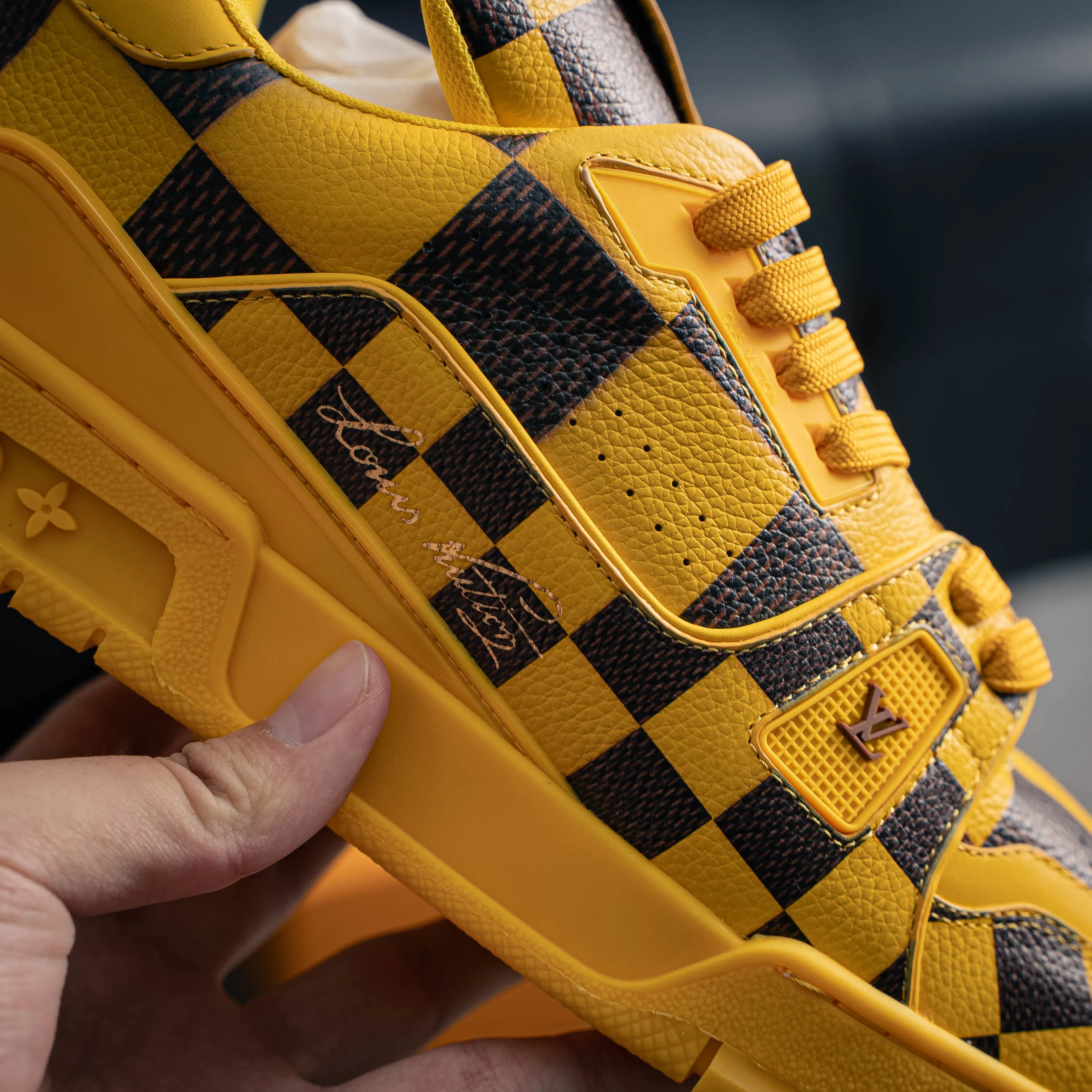 Louis Vuitton Trainer lv Sneakers Shoes Shoes